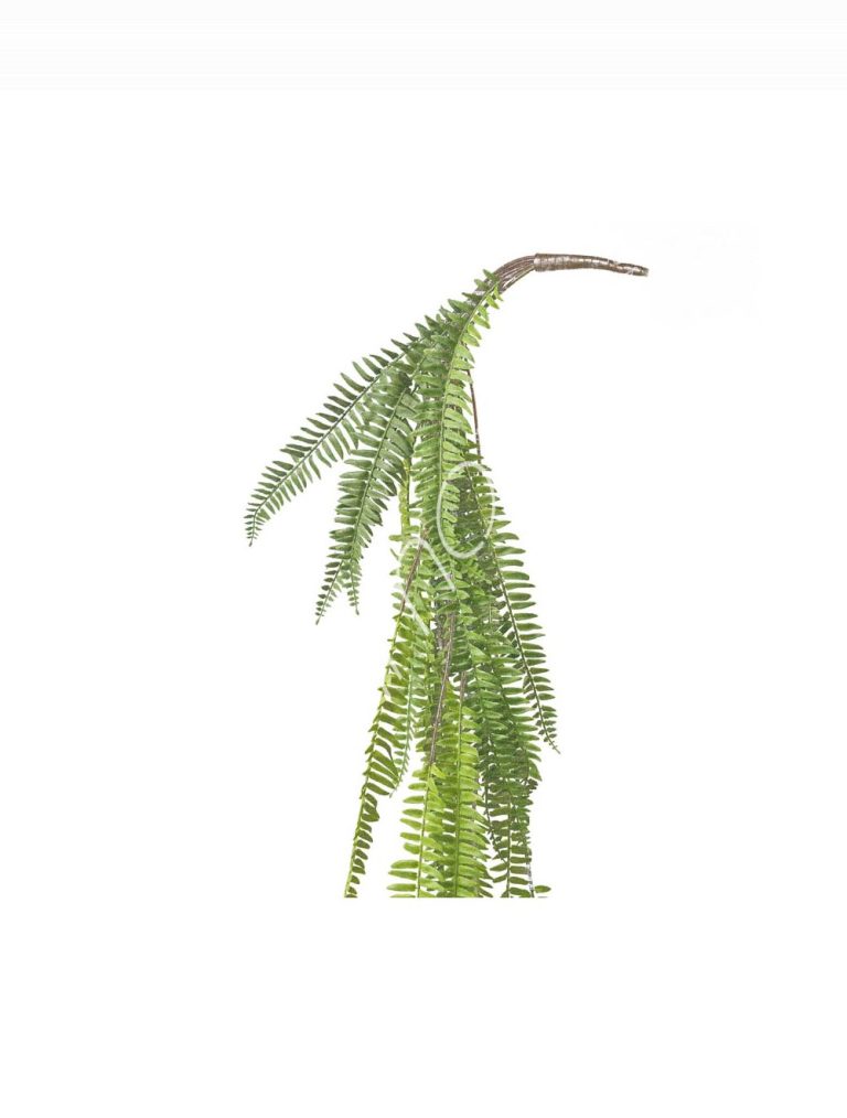 Hanging fern bush 39x39x104