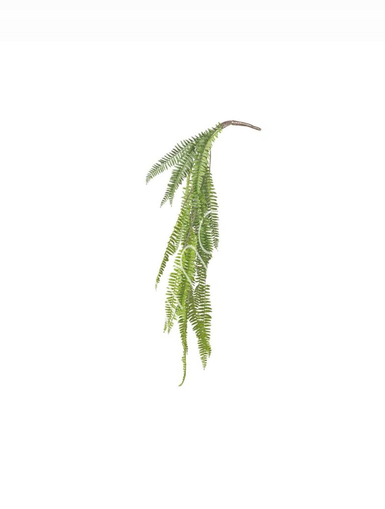 Hanging fern bush 39x39x104