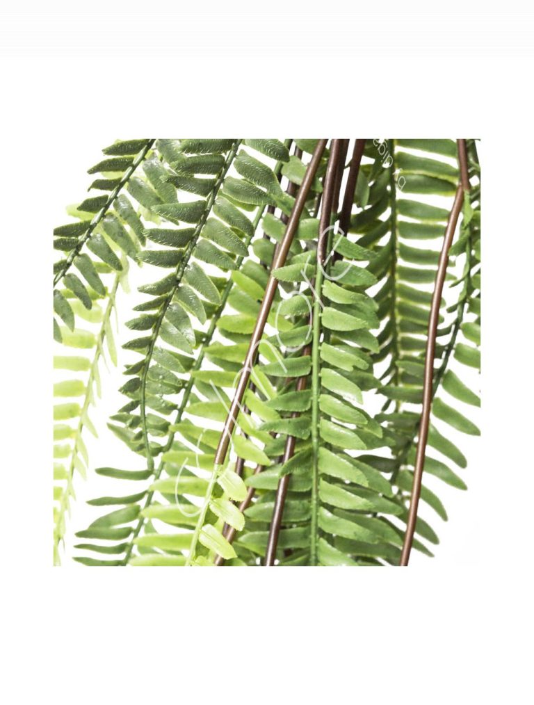 Hanging fern bush 39x39x104