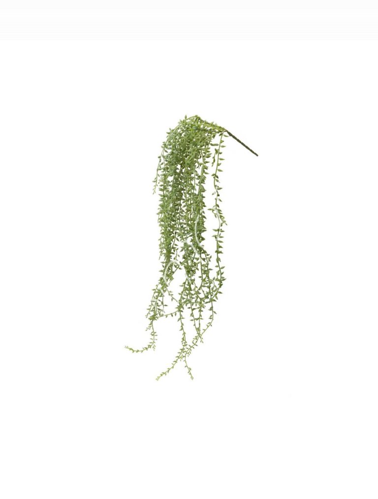 Bean leaves stem 10x10x74