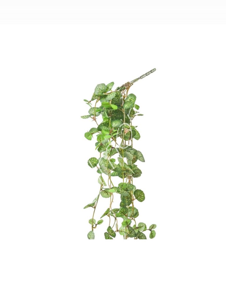 Ivy vine 19x19x64