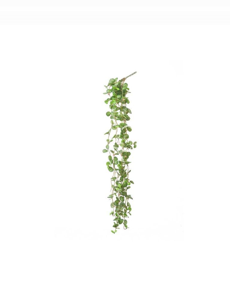 Ivy vine 19x19x64