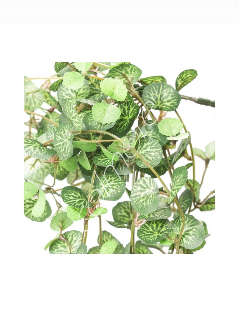 Ivy vine 19x19x64