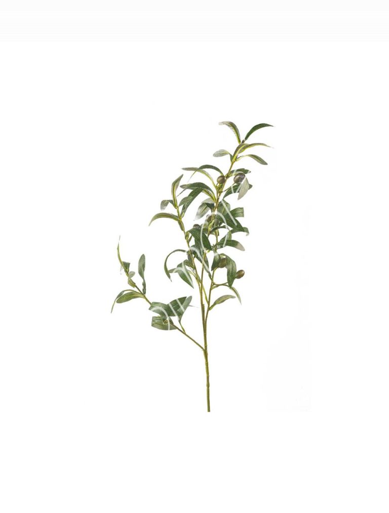 Olive stem 30x30x73