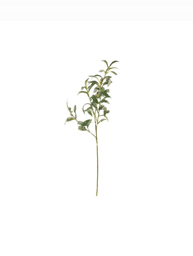 Olive stem 30x30x73