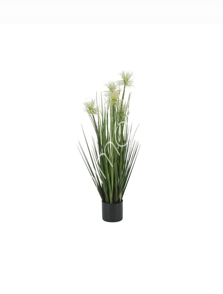 Decorative sea urchin grass w/plastic pot 10x10x68
