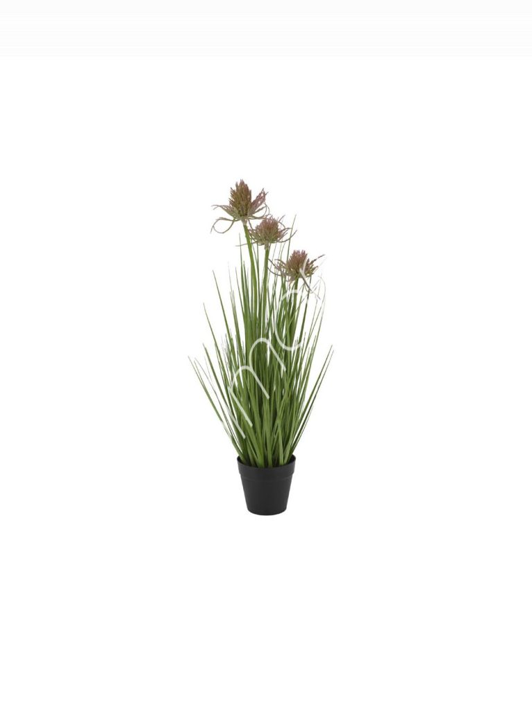Decorative thistle grass w/plastic pot 10x10x53