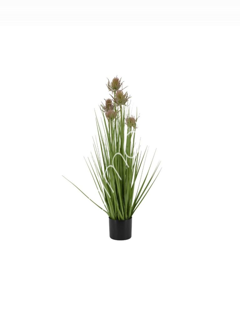 Decorative thistle grass w/plastic pot 10x10x68