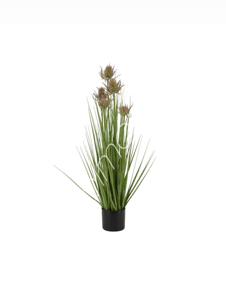 Decorative thistle grass w/plastic pot 13x13x91