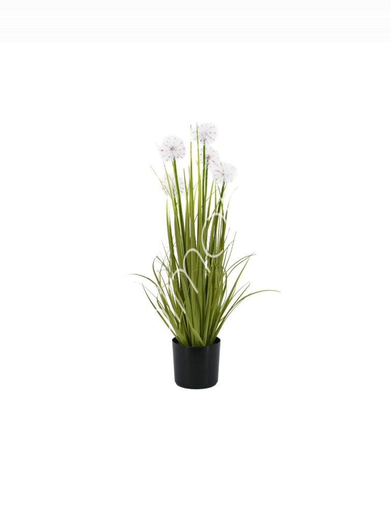 Decorative dandelion grass w/plastic pot 10x10x68