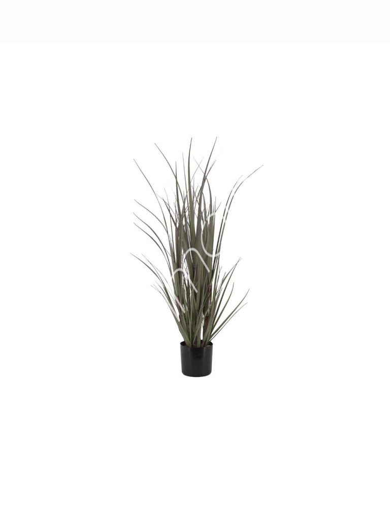 Decorative grass w/plastic pot 13x13x91