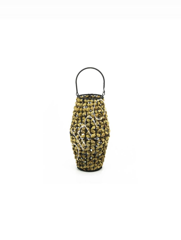 Lantern water hyacinth 22x22x41