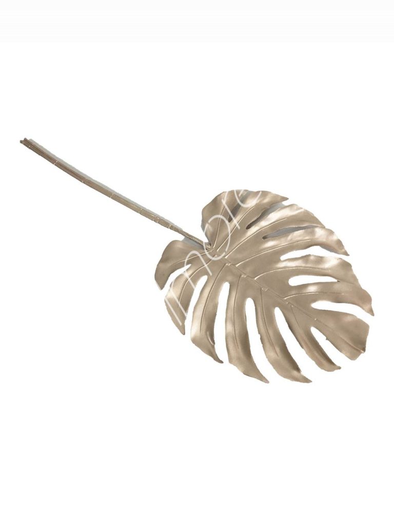 Decorative branch champagne 90x37