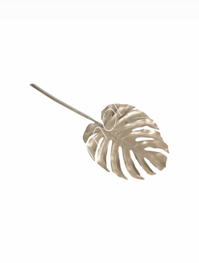 Decorative branch champagne 72x29