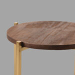 Bijzettafel_Dox_40x40x40_cm_Espresso_Mangohout_Goud_Metaal_Detail1