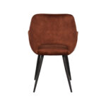 Eetkamerstoel_Chair_Fer_Rust_Velours_60x59x87_cm_Achter