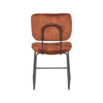 Eetkamerstoel_Dez_Rust_Velours_49x60x87_cm_Achterkant