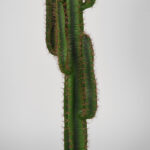 Kunstplant_Cactus_30x25x130_cm_Detail