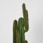 Kunstplant_Cactus_30x25x130_cm_Detail_2