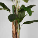 Kunstplant_Musa_110x110x180_cm_Detail_2