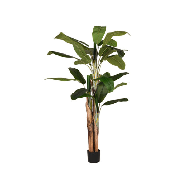 Kunstplant_Musa_110x110x180_cm_Vooraanzicht