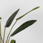 Kunstplant_Strelitzia_70x70x100_cm_Detail_2
