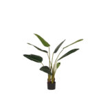 Kunstplant_Strelitzia_70x70x100_cm_Vooraanzicht