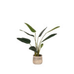 Kunstplant_Strelitzia_70x70x100_cm_Vooraanzicht_Pot