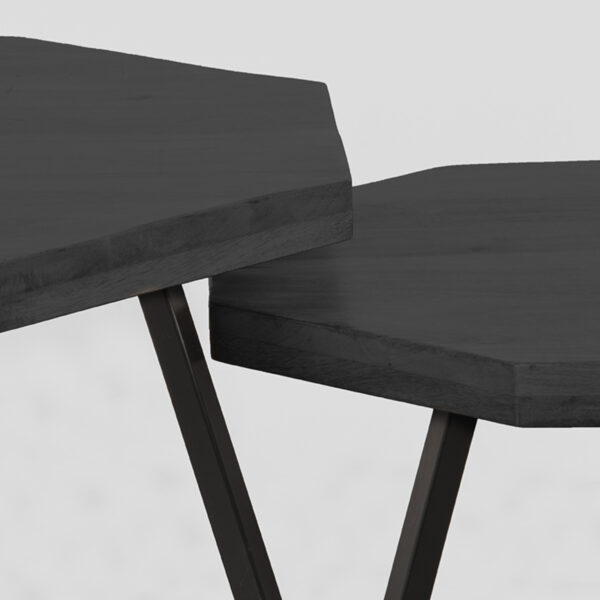 Salontafel_Set_Figure_70x70x40_Cm_Zwart_Mangohout_Detail_v2