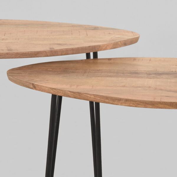 Salontafel_Set_Frisk_68x43x44_Cm_Rough_Mangohout_Detail