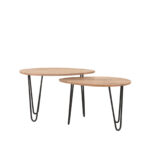 Salontafel_Set_Frisk_68x43x44_Cm_Rough_Mangohout_Perspectief