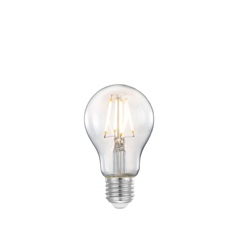 LABEL51 Lichtbron Kooldraadlamp - Glas - Bol M