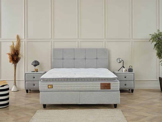 BEGONYA GREY
