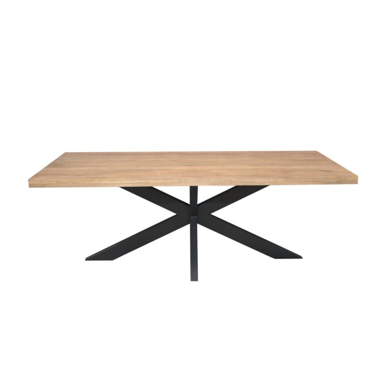 Rechthoekige eettafel Dakota Naturel Mangohout 220 cm
