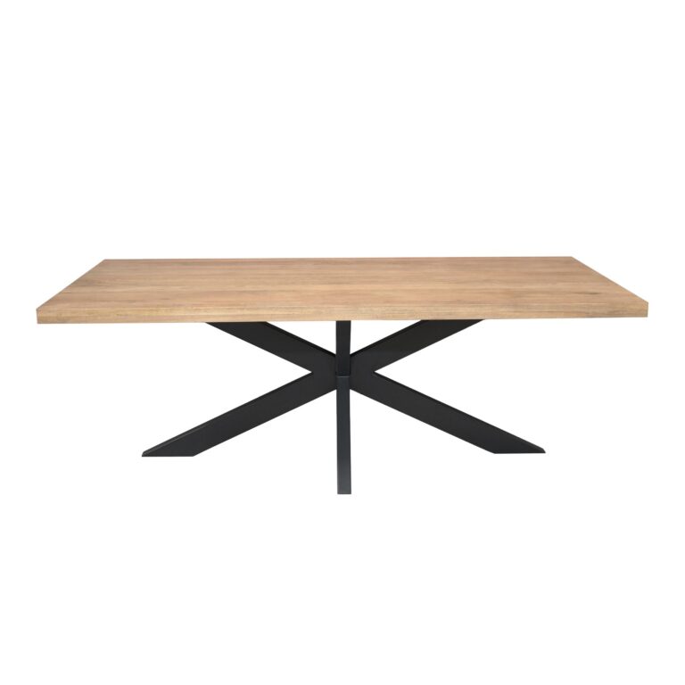 Rechthoekige eettafel Dakota Naturel Mangohout 240 cm