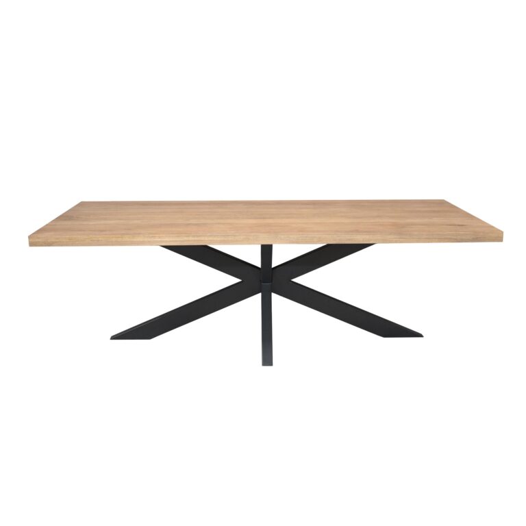 Rechthoekige eettafel Dakota Naturel Mangohout 300 cm
