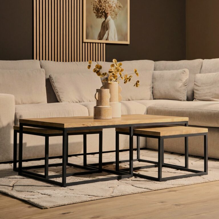 Salontafel set Dakota Naturel Mangohout 120 cm
