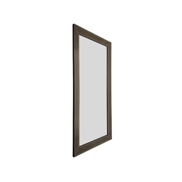 MIRROR C2106-48120 120x48 FRAME SEPIA