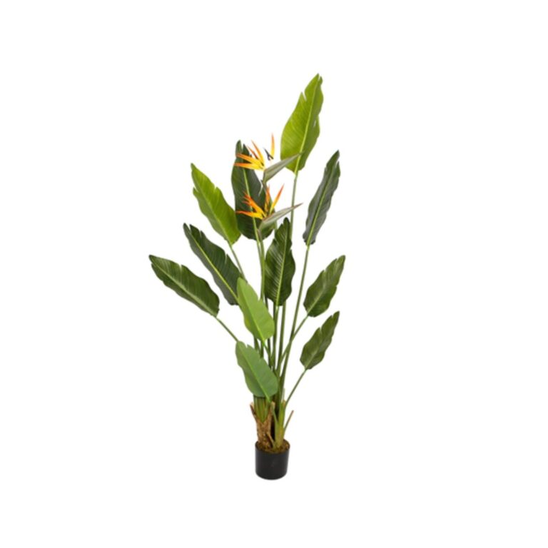 STRELITZIA TREE Y8480-10-2-3PS 170 CM