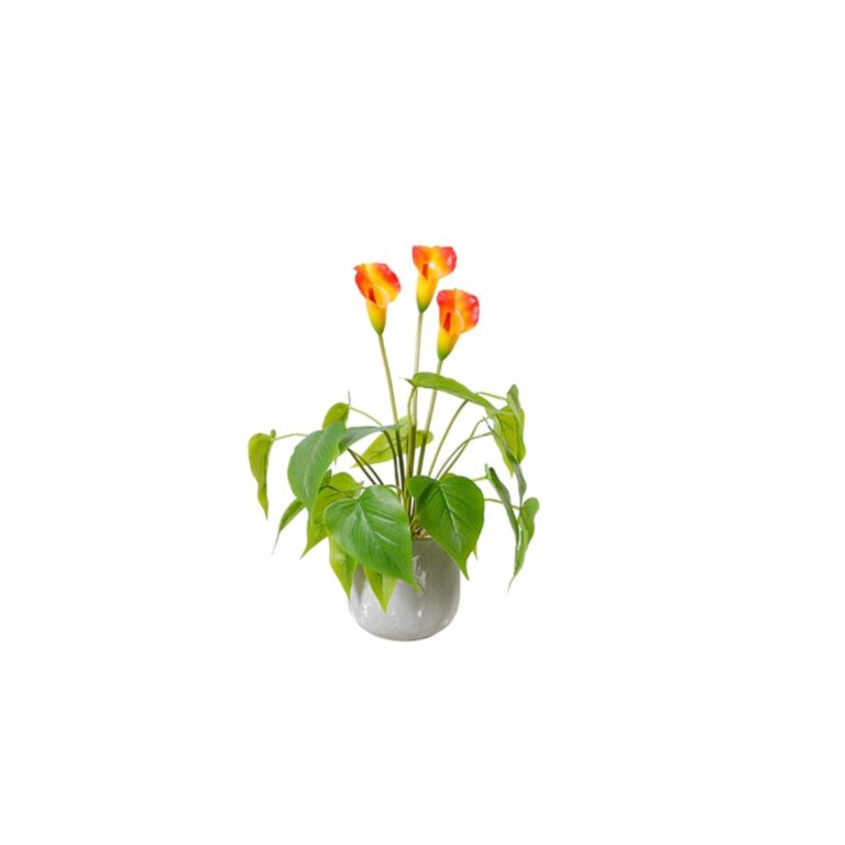 KLEIN PFLANZE QX-MT-JH 47 CM