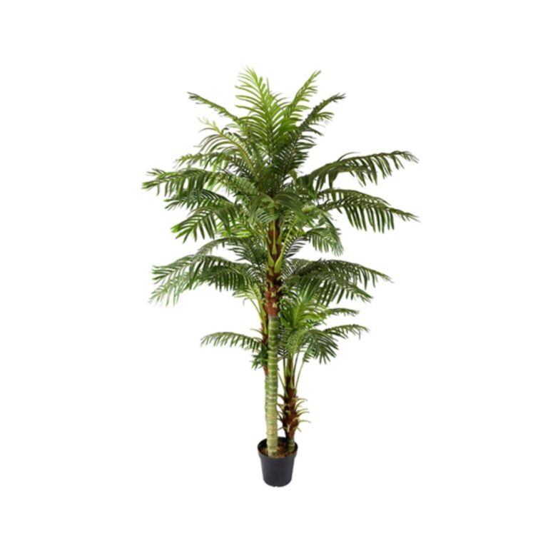 ARECA PLAM Y8388-45-3PS 235 CM