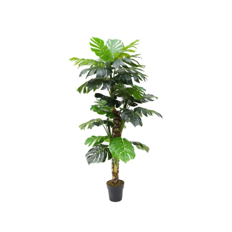 MONSTERA PLANT Y8453-34-4-1PS 160 CM