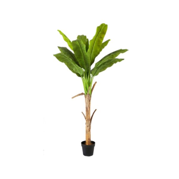 BANANA TREE Y8328-12-1TSA 150 CM