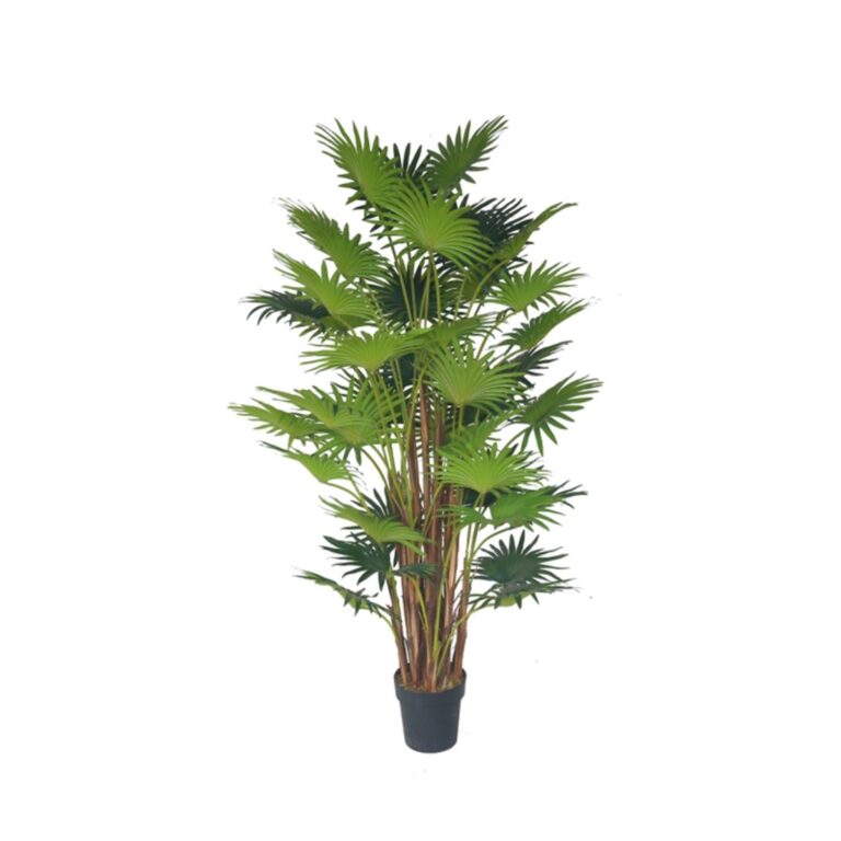 FAN PLAM Y8499-41-15PS 160 CM