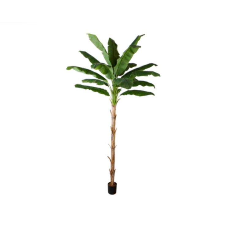 BANANA TREE Y8328-19-1TS 300 CM