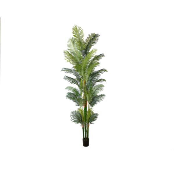 ARECA PLAM Y8388-45-30K-8PS 300 CM