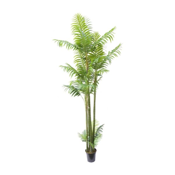 ARECA PLAM LARGE Y8421-31-7PS 340 CM